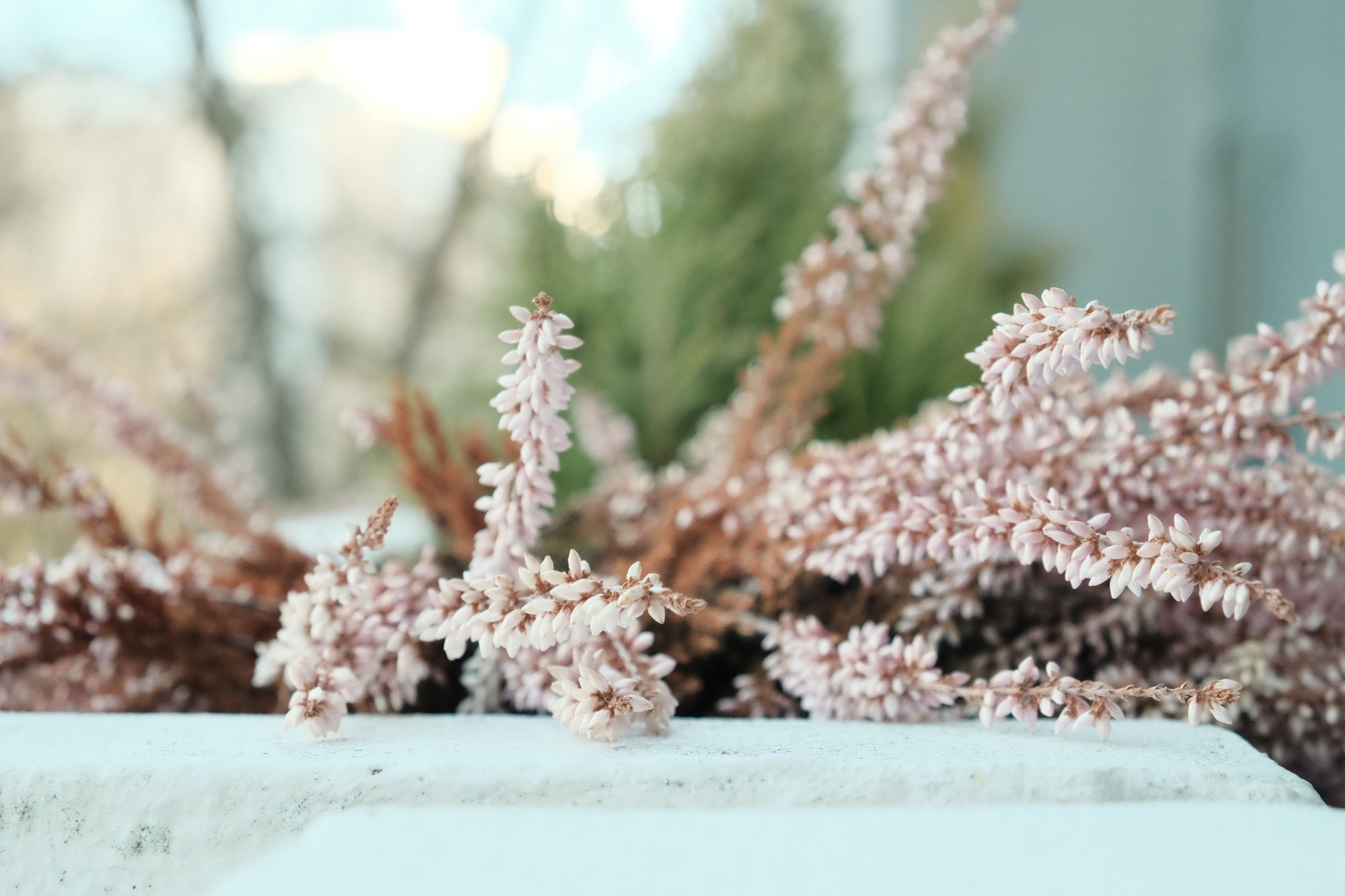 Fuji X-T1 Custom Chrome