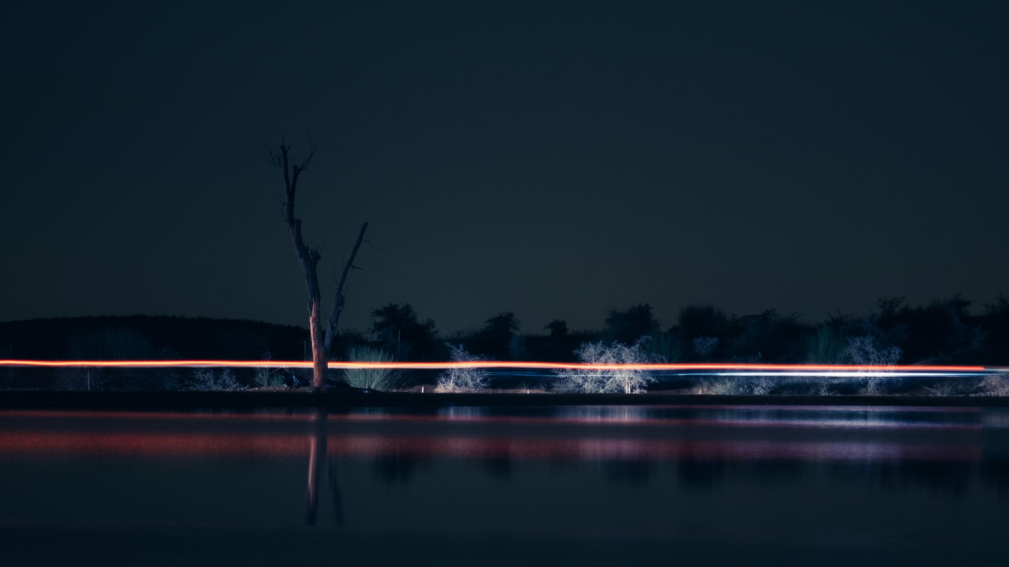 gurkendoktor sein blog